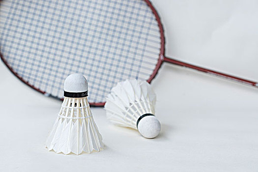 启职业规划 启职业规划