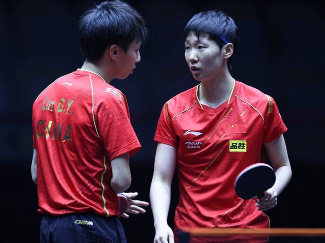 网球基础设 网球基础设